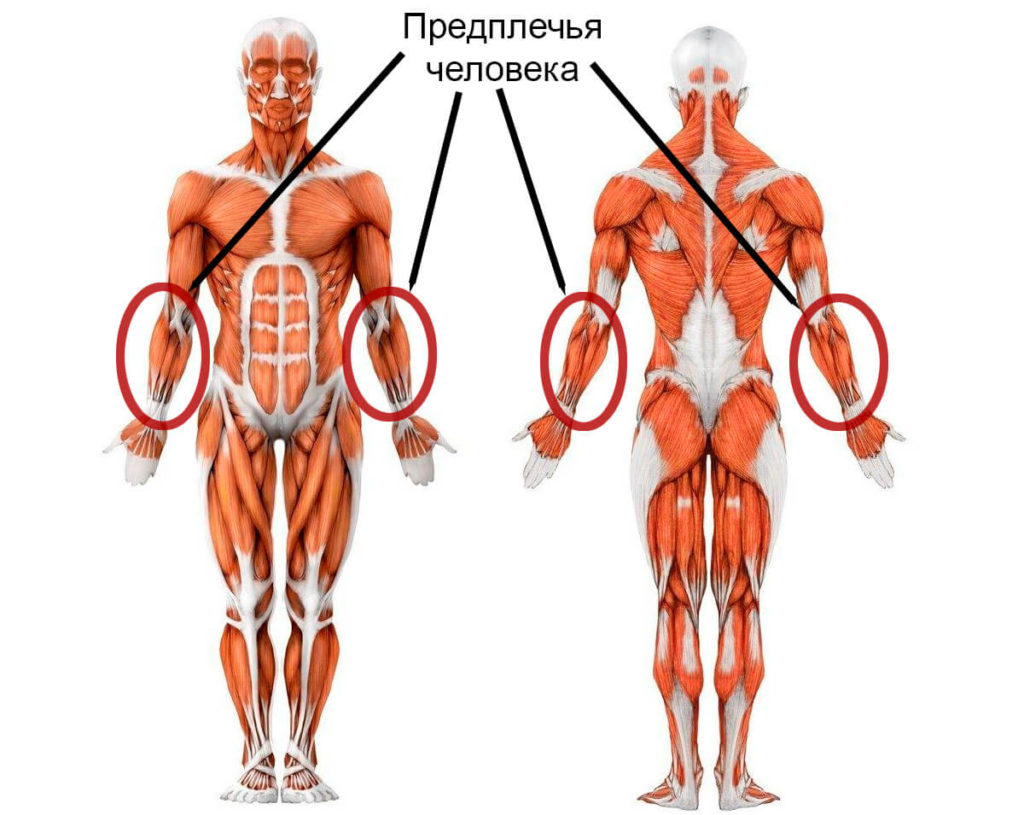 Balkan Pharmaceuticals ����: ����.